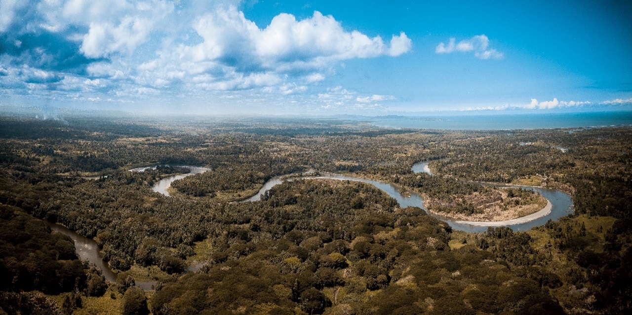 Desafíos de las empresas colombianas para transitar a un modelo productivo que conserve la biodiversidad